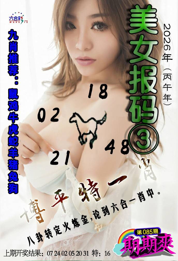 085期美女码报3[图]