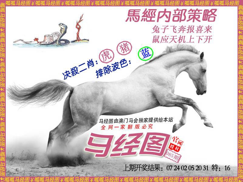 085期马经5[图]